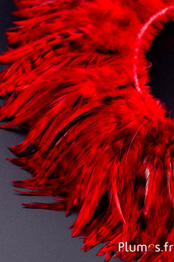 Frange coq chinchilla - long. plumes 10-15 cm - rouge